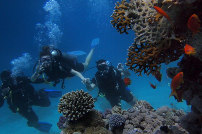 Diving In Kas -Best Diving Spot in Turkey